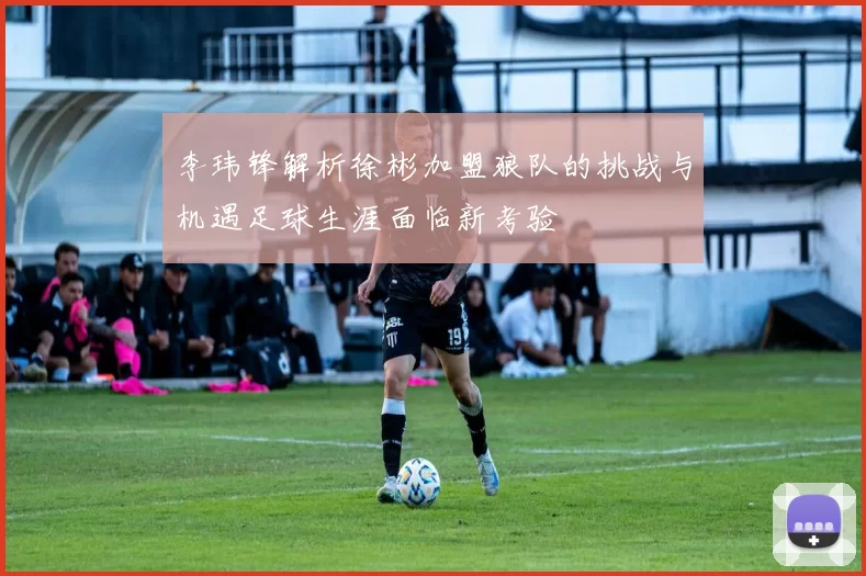 李玮锋解析徐彬加盟狼队的挑战与机遇足球生涯面临新考验